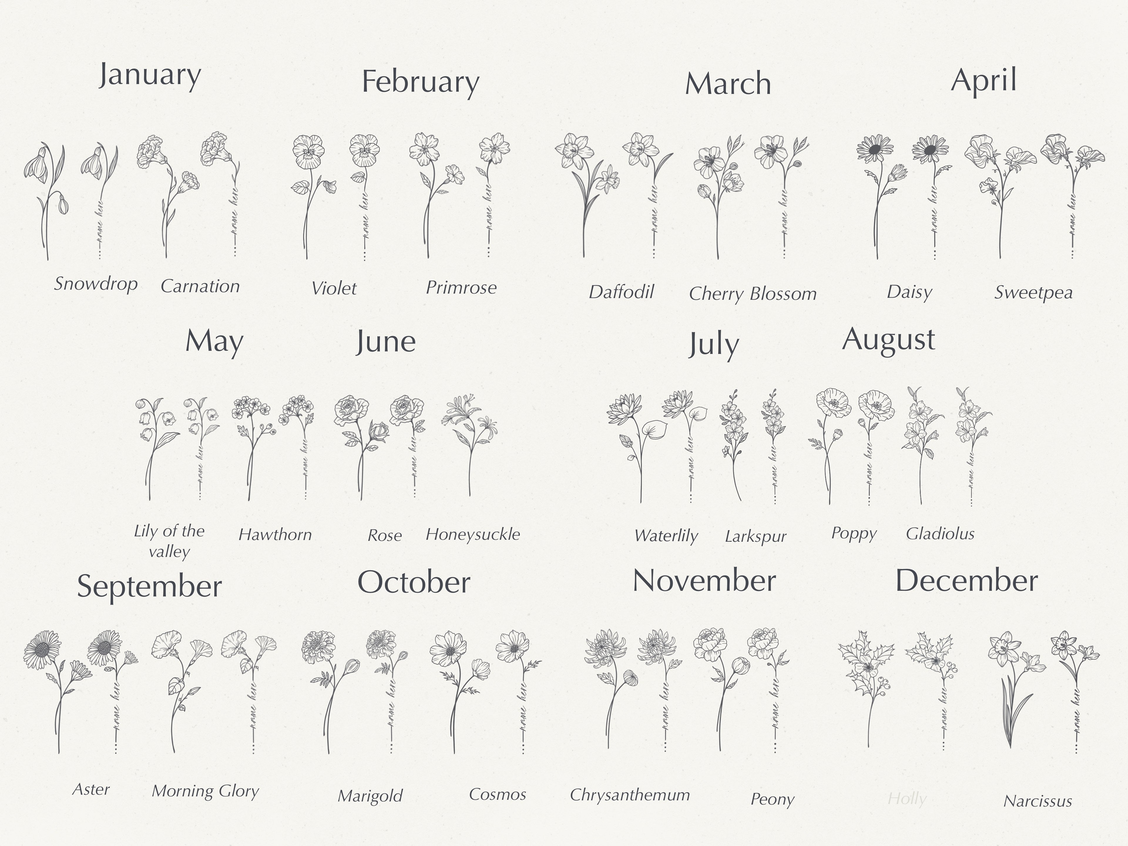 Illustration of flowers for each month, featuring names like Snowdrop, Carnation, and Peony in a botanical style.