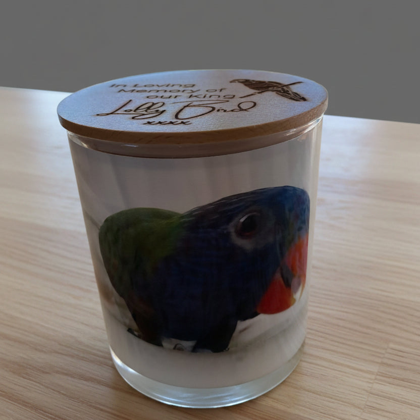 Custom Image of a Lorikeet Bird Called Lolly_Customer Supplied Image