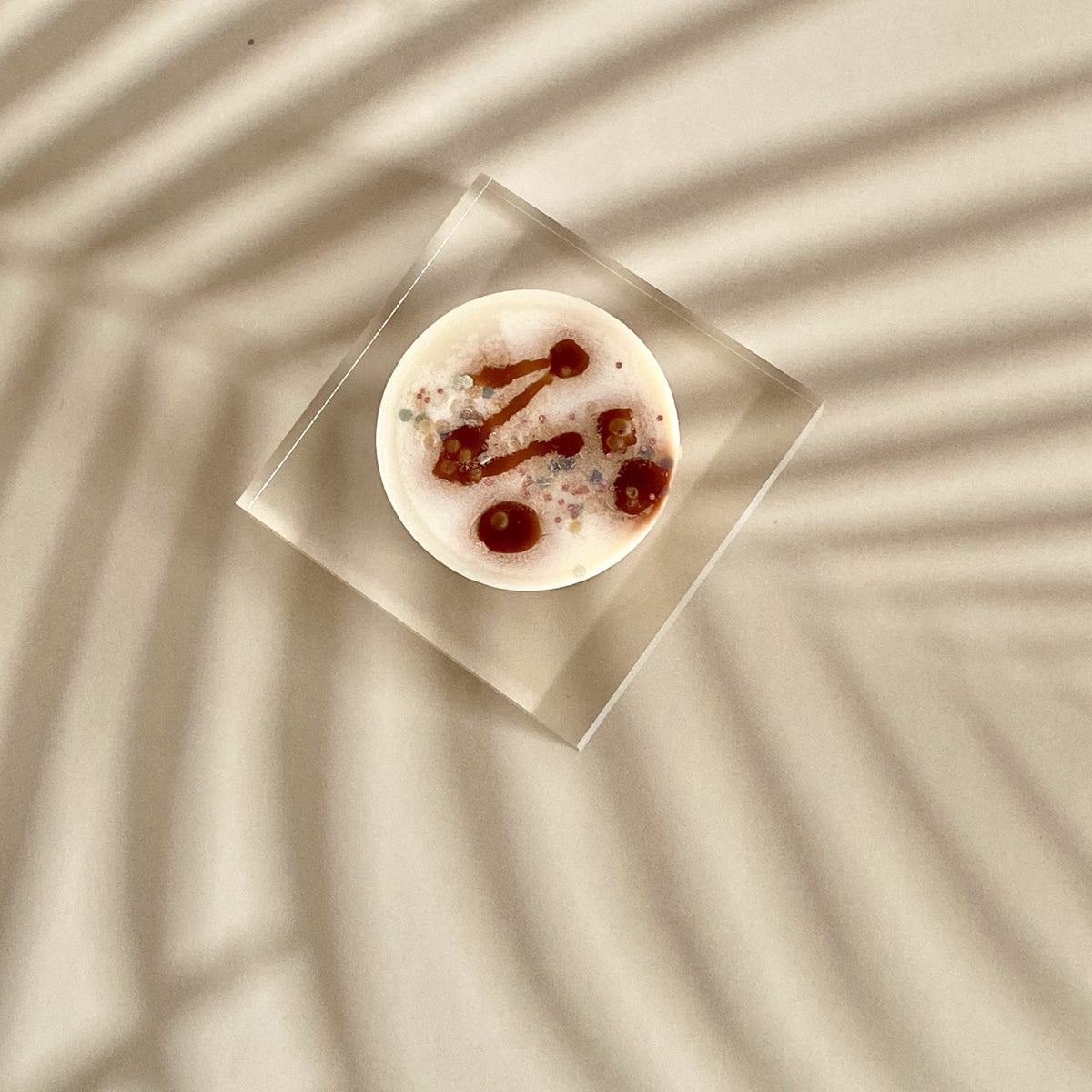 Coconut Cream Wax Melt_ Sol Candles & Scents