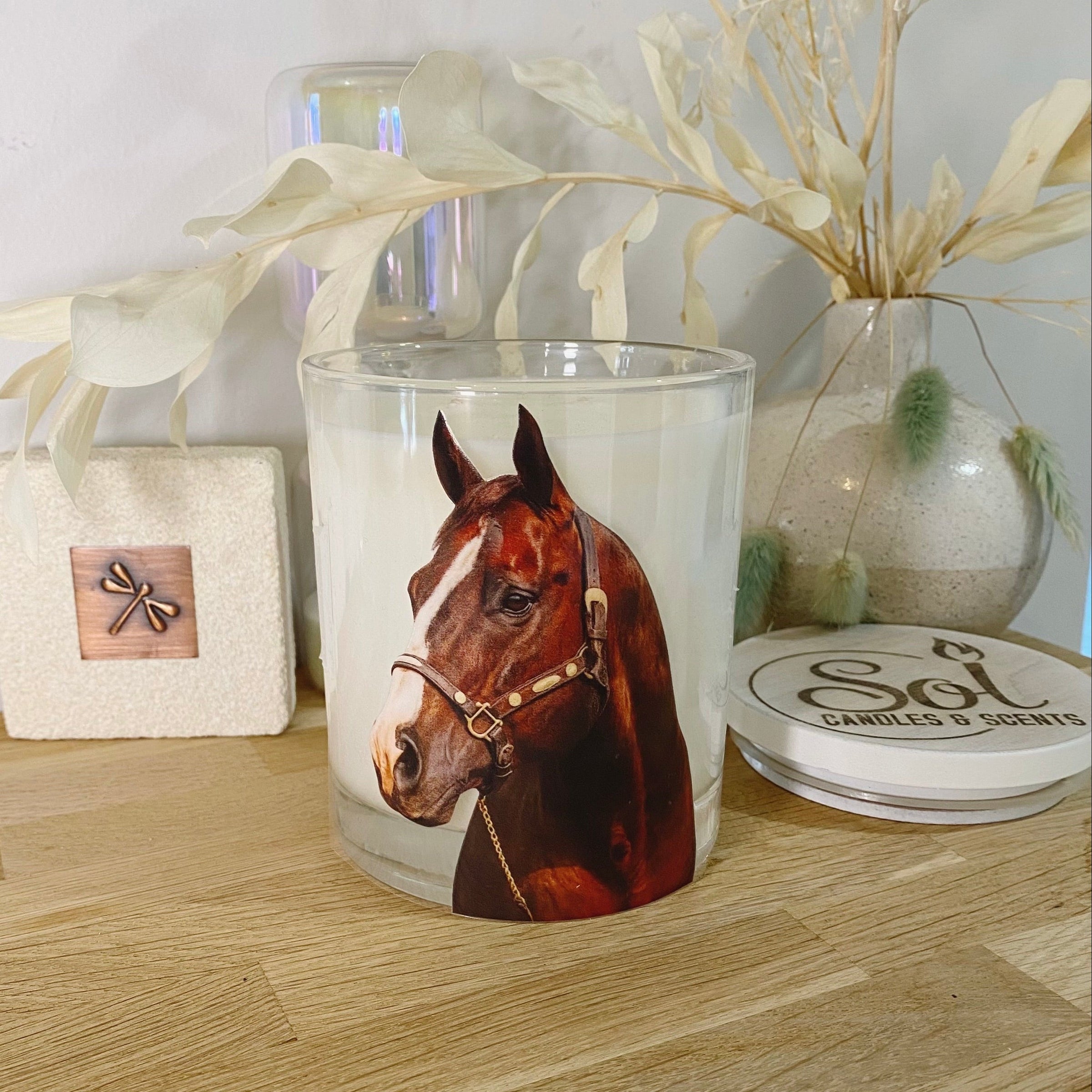 Quarter Horse_Western Pleasure