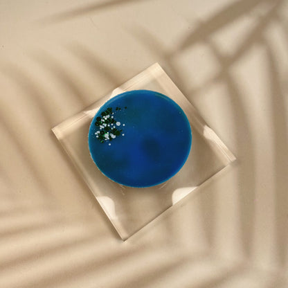 Blue Cypress &amp; Jasmine Wax Melt