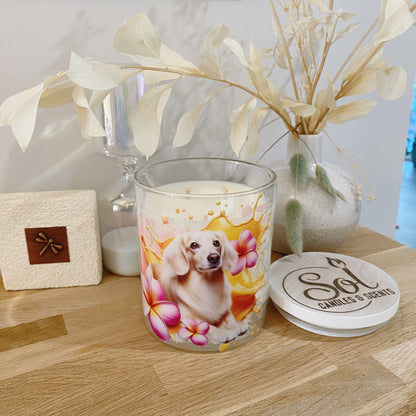 Dachshund Long Haired Cream Xlarge Candle_Refillable_Made in Queensland