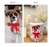Sol Candles & Scents Custom Design