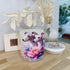 Whippet Dragonfly Lilly Xlarge Candle_Sol Candles & Scents