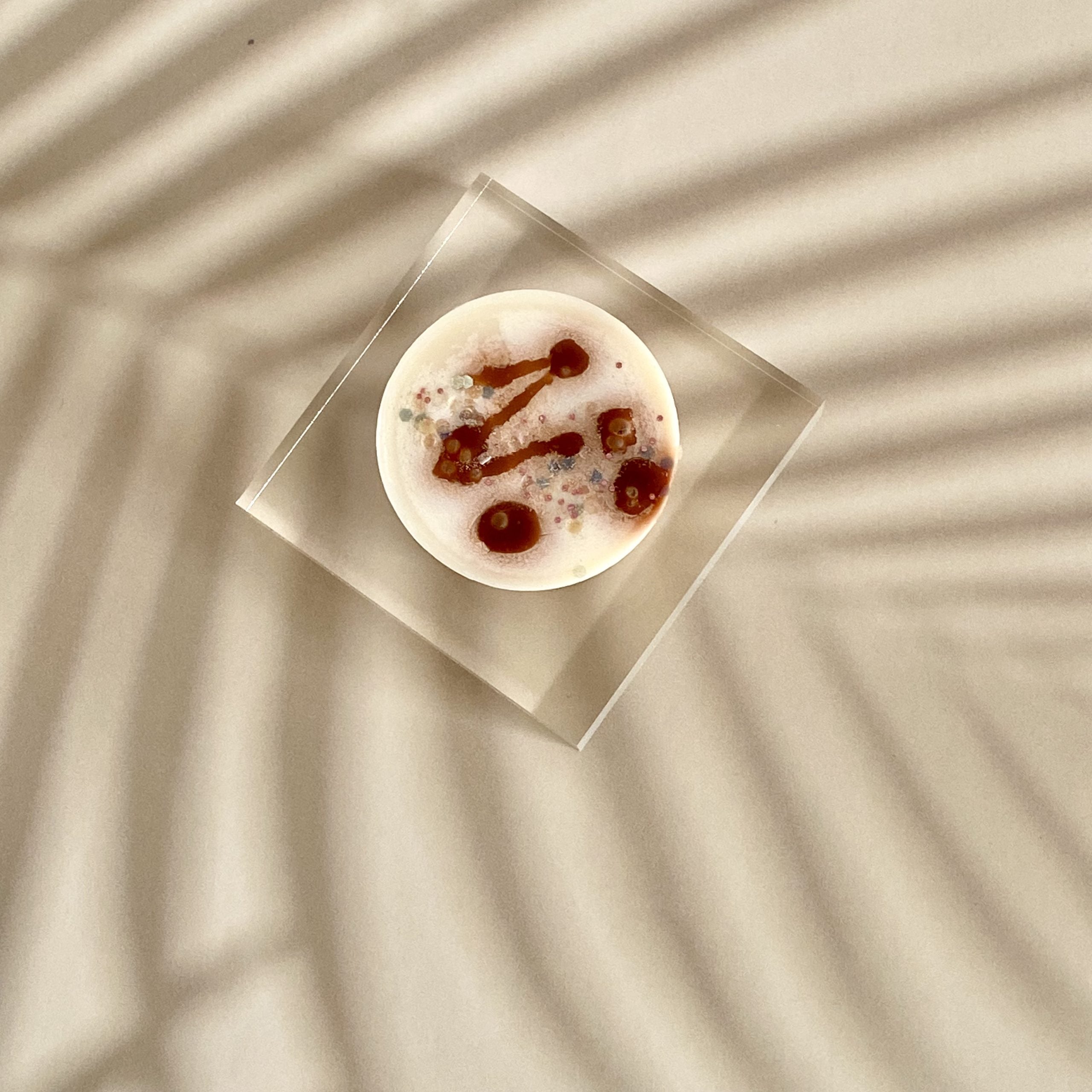 Coconut Cream Wax Melt_ Sol Candles &amp; Scents