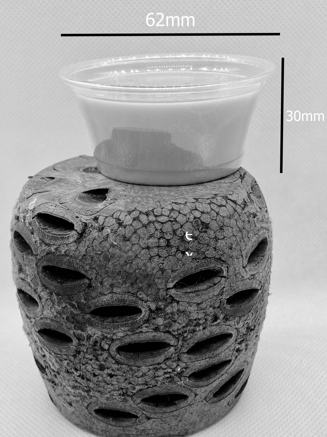 Seagrass & Wild Lavender Wax Melt